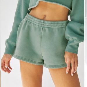 Aritzia Cozy Fleece Perfect 2” Sweatshort